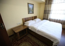 Двухместный номер Standard двуспальная кровать в Altai Business Hotel