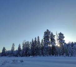 Четырёхместный коттедж с 2 комнатами в Экара