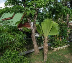 Шале c 1 комнатой в Harmony Naturist Resort Rawai Phuket