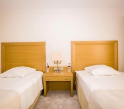 Двухместный номер Standard с видом на горы 2 отдельные кровати в Hotel Marinela Sofia