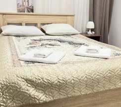 Номер стандарт с 1 двуспальной кроватью (цокольный этаж) в Kovensky