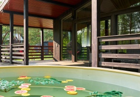 Коттедж Домик в соснах в Владимирской области