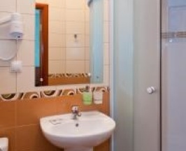 Одноместный SINGLE в Park hotel Bogorodsk