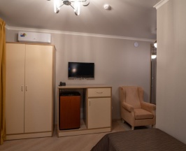 Одноместный номер (Главный корпус) Стандарт c 1 комнатой в Литфонд