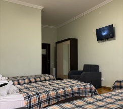 Стандартный четырехместный номер в Невский