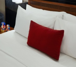 Супериор с двуспальной кроватью 4 этаж в Renartiss Isaakiy St. Petersburg hotel