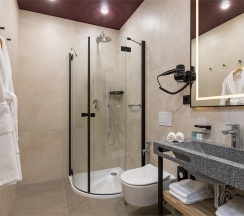 Стандарт Бизнес в Berry Hotel&Spa 4*