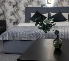 Номер комфорт (без окна) в White Place