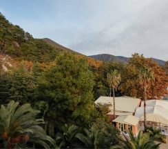 Стандарт без балкона вид на парк в Кавказ