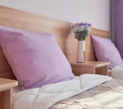 Комната стандарт с 1 двуспальной кроватью в Горное эхо