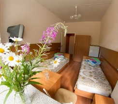 Двухместный Стандарт в Марциальные воды