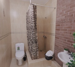 3х комнатный 9ти местный номер в Благовещенка