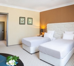 Business Twin в Графский парк