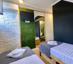 2-местная комната стандарт №8 (мансарда) в Greenwall