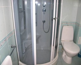 Одноместный номер Standard в Коттедж на Зеленом