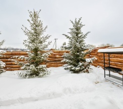 Holiday house в Берёзовая роща