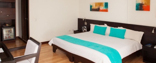 Двухместный номер Standard двуспальная кровать в Hotel Colombians Suite