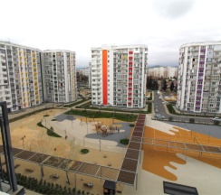 Персик 56 в Neoroom Service