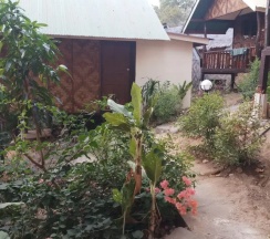 Двухместное бунгало с балконом (двуспальная кровать) в Phi Phi Jungle Hill Bungalow