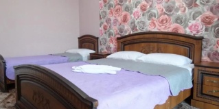 Гагра: Гостевой дом Arins-park