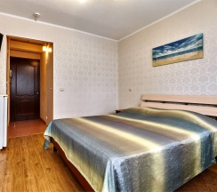 Двухместный  номер с одной кроватью в Екатерининский