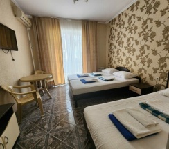 Стандартный номер для (Главный корпус) в Family club Atrium