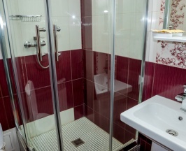 Двухместный номер Standard с видом на город двуспальная кровать в Льгов