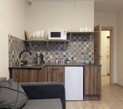 Евро-двухкомнатные апартаменты ЖК "LIKE" (Метро Площадь Мужества, 10 минут пешком) в Rauktis apartments