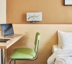 Стандартный номер с одной двуспальной кроватью в Скайлайн