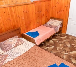 Трехместный номер класса "Стандарт" со всеми удобствами в Ника