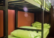 Кровать в общем номере (женский номер) в Oh My Bed Chiang Mai - Hostel