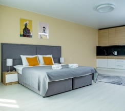 Studio Suite в Next