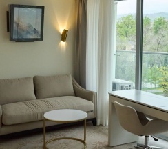 Люкс Executive в Almaty
