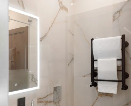 Одноместный номер Deluxe Standard в Almaty