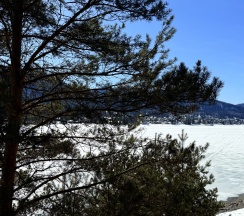 Дом в Елань