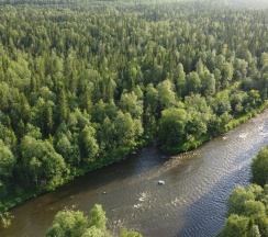 Дом в Ellwood Eco Village