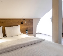 Номер стандарт с 1 двуспальной кроватью в Laska hotel