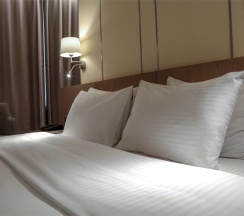 Comfort в Don-Plaza