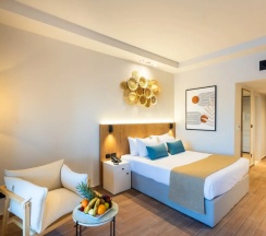 Трёхместный номер Premium с видом на сад в Desert Rose Resort