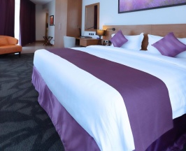 Двухместный номер Panoramic View двуспальная кровать в Park Regis Business Bay