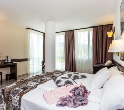 Одноместный номер Executive в Grami Hotel Sofia