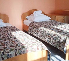 Номер комфорт с 2 односпальными кроватями в Smart Hotel KDO Пенза