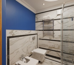 Полулюкс с выходом на террасу в Псков