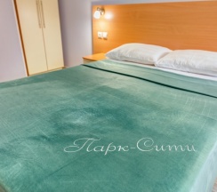 Двухместный номер Standard с балконом двуспальная кровать в Парк-сити