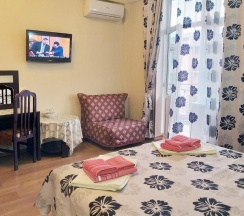 Двухместный номер Standard с балконом 2 отдельные кровати в Аист