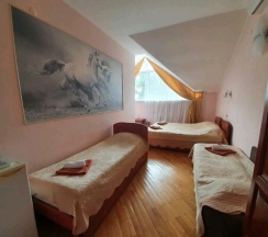 Стандарт 4х мест. в Black Wood