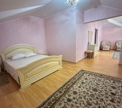 Люкс двухкомнатный в Николаевский