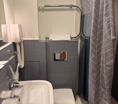 Номер комфорт с 1 двуспальной кроватью в Рублев