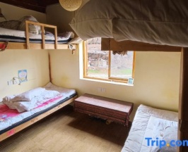 Четырёхместный номер Standard в Up In The Air Youth Hostel