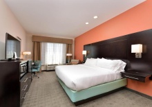 Двухместный номер Standard двуспальная кровать в Holiday Inn Express & Suites Austin South, an IHG Hotel